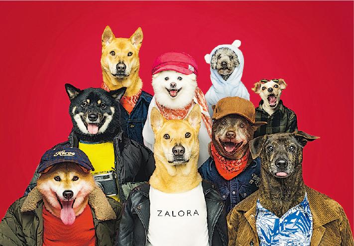 【Fashion】Bulletin：狗狗穿時裝上陣 維護動物權益